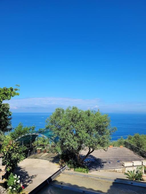 Sun & Relax, Relaxing Location With Seaview Villa Massa Lubrense Exterior foto